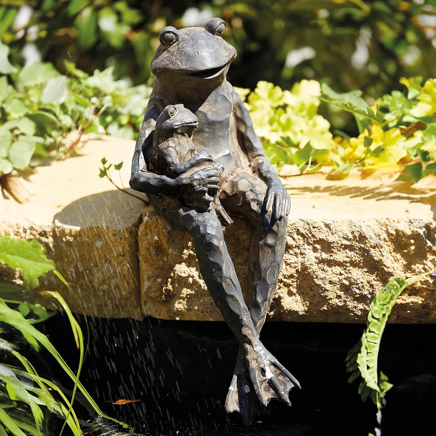 Sitting Frog | In Stock Now | Coopers of Stortford