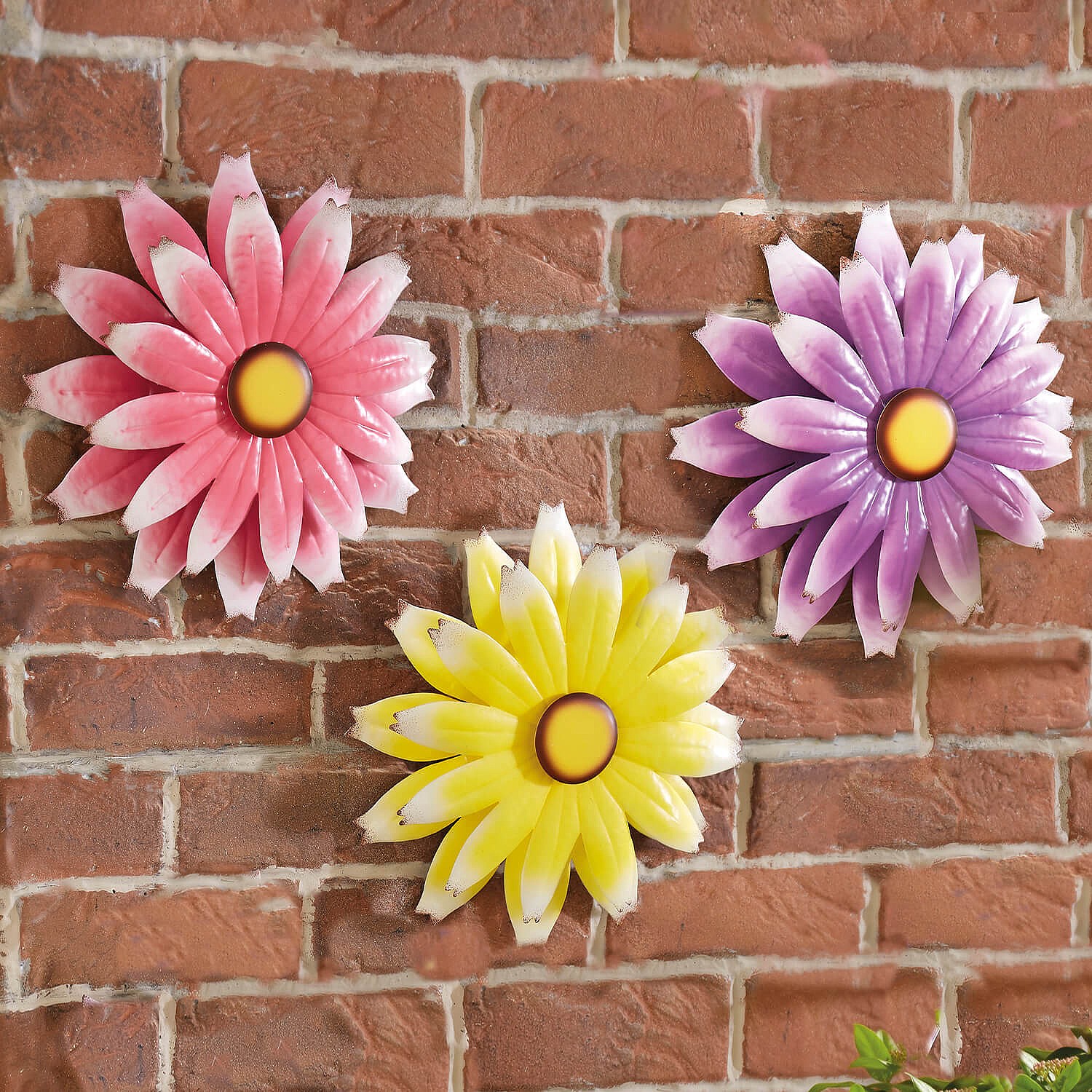 Spinning Wall Flower Buy 2 Get 1 Free By Coopers