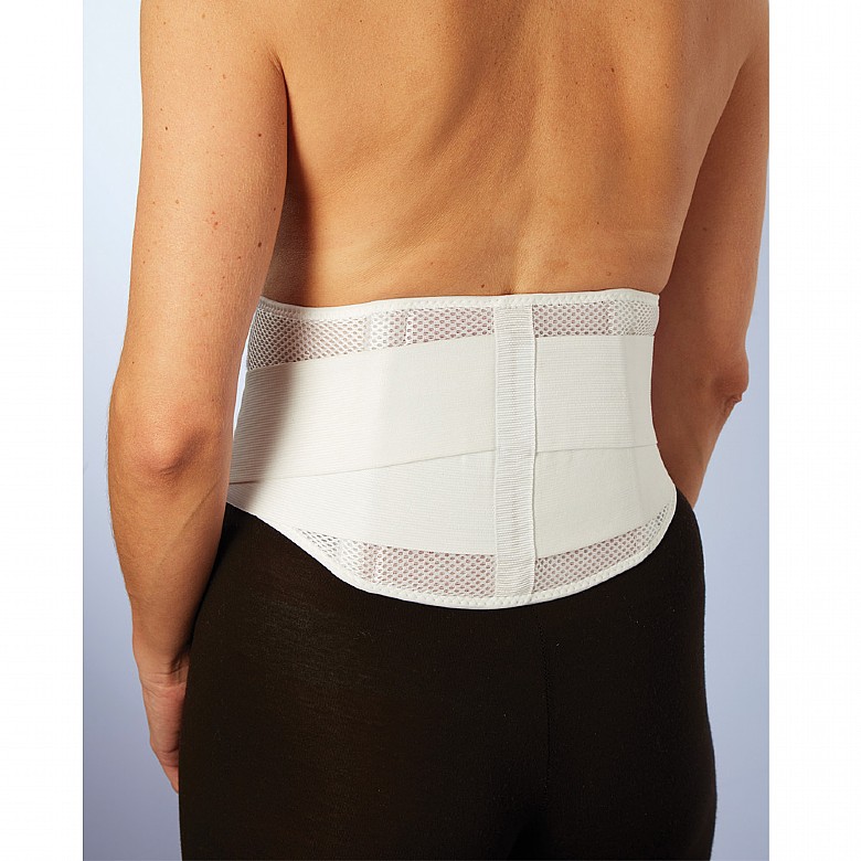 Healthway  Back Support Belt with Fully Adjustable Straps Relief Lower &  Upper Back Pain