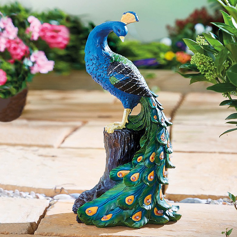 The Discreet Peacock