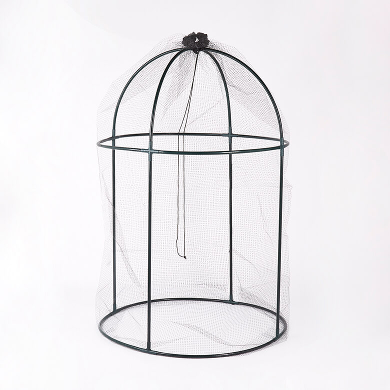 Round bird hotsell cage for sale