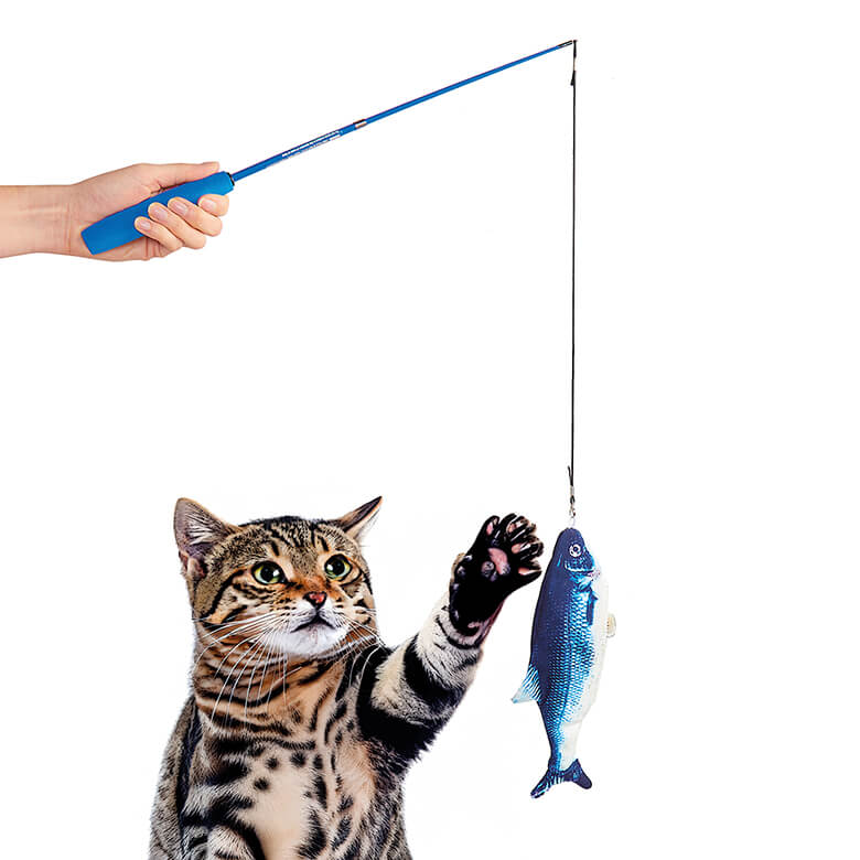 My cats got to my fishing rod that was hanging on my wall and bird