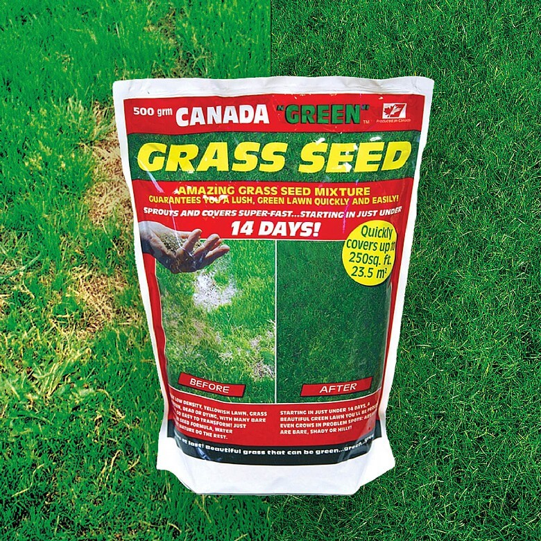 500g Perfect Grass Canada Green Grass Seed   ST3607i 