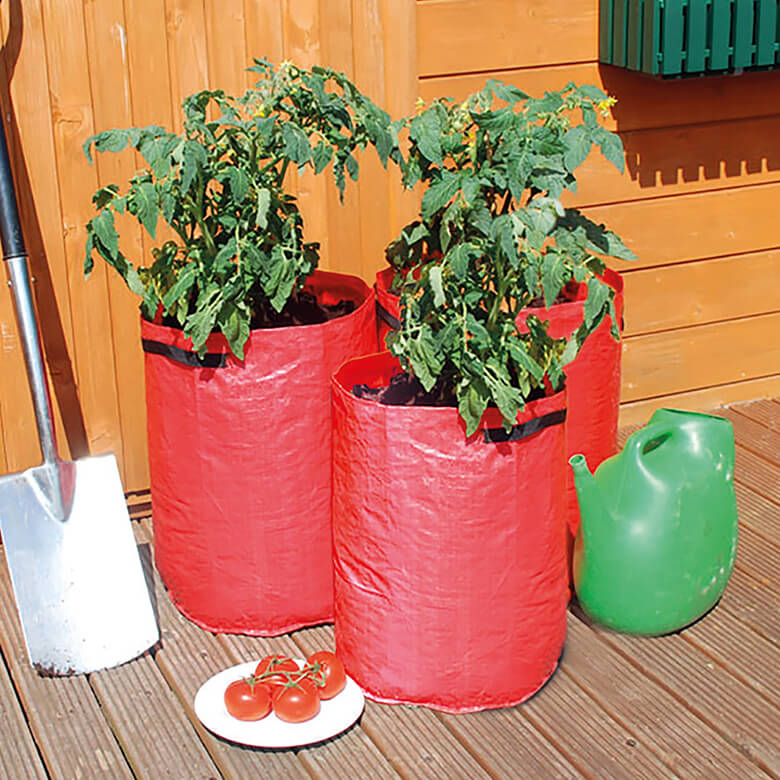 Green HDPE Tomato Grow Bag, For Terrace Gardening at Rs 48/piece in  Vaniyambadi