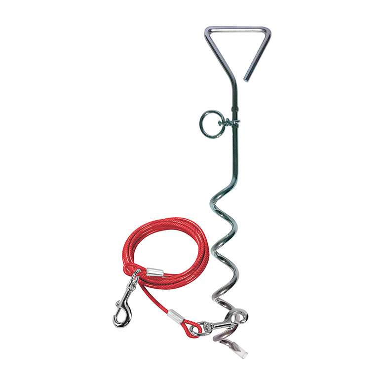 Dog tether lead hotsell